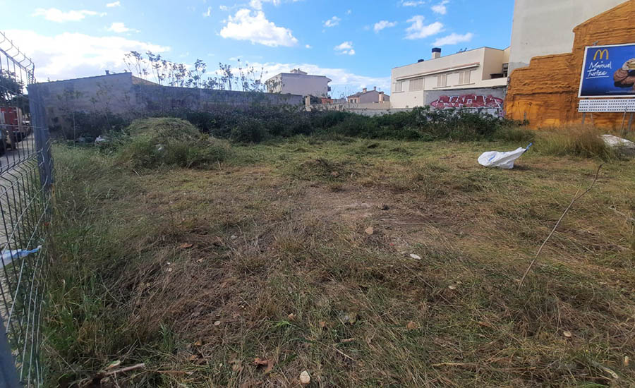 aragon288_2024_03_01