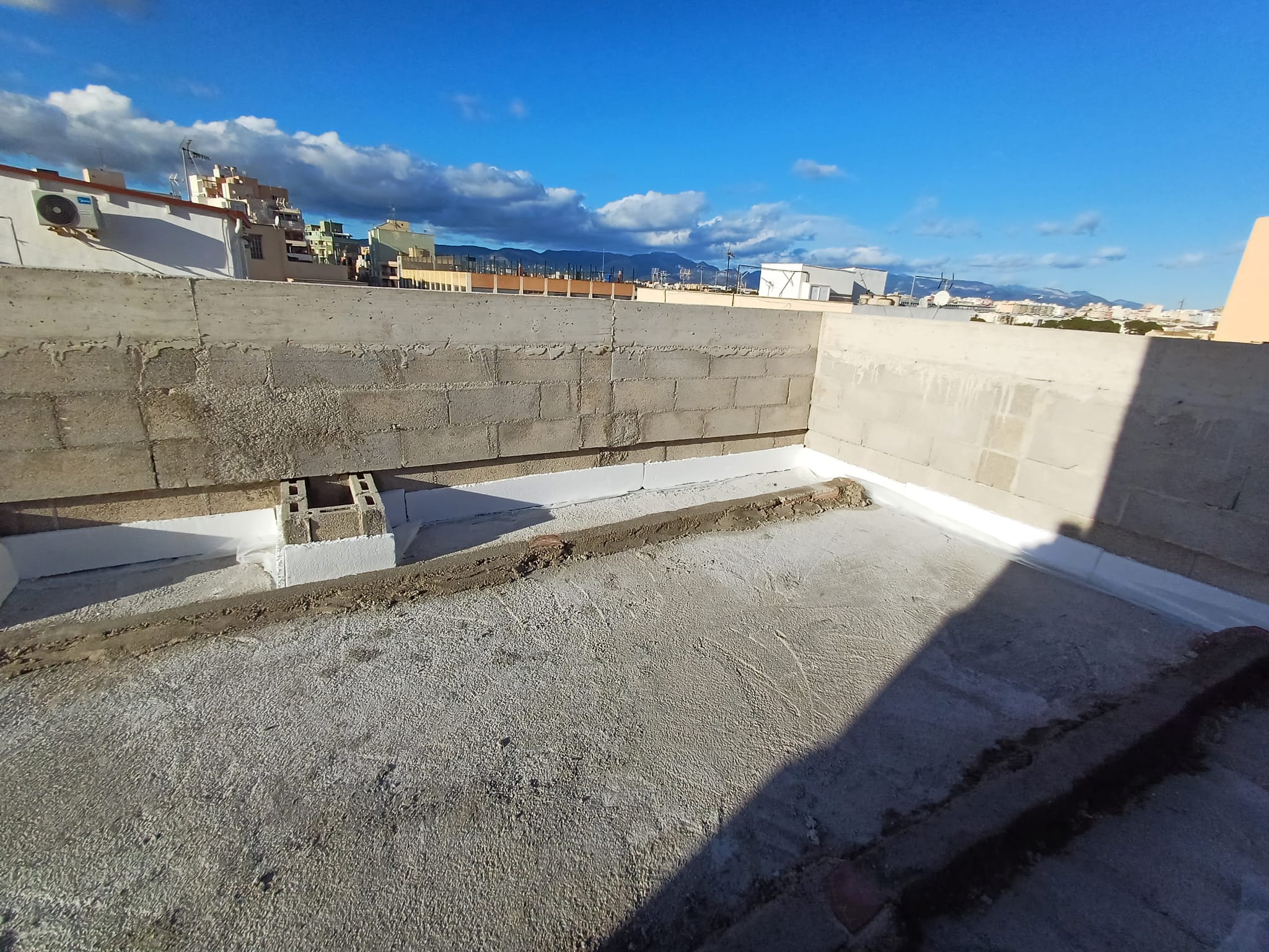 WhatsApp Image 2025-01-30 at 16.20.11