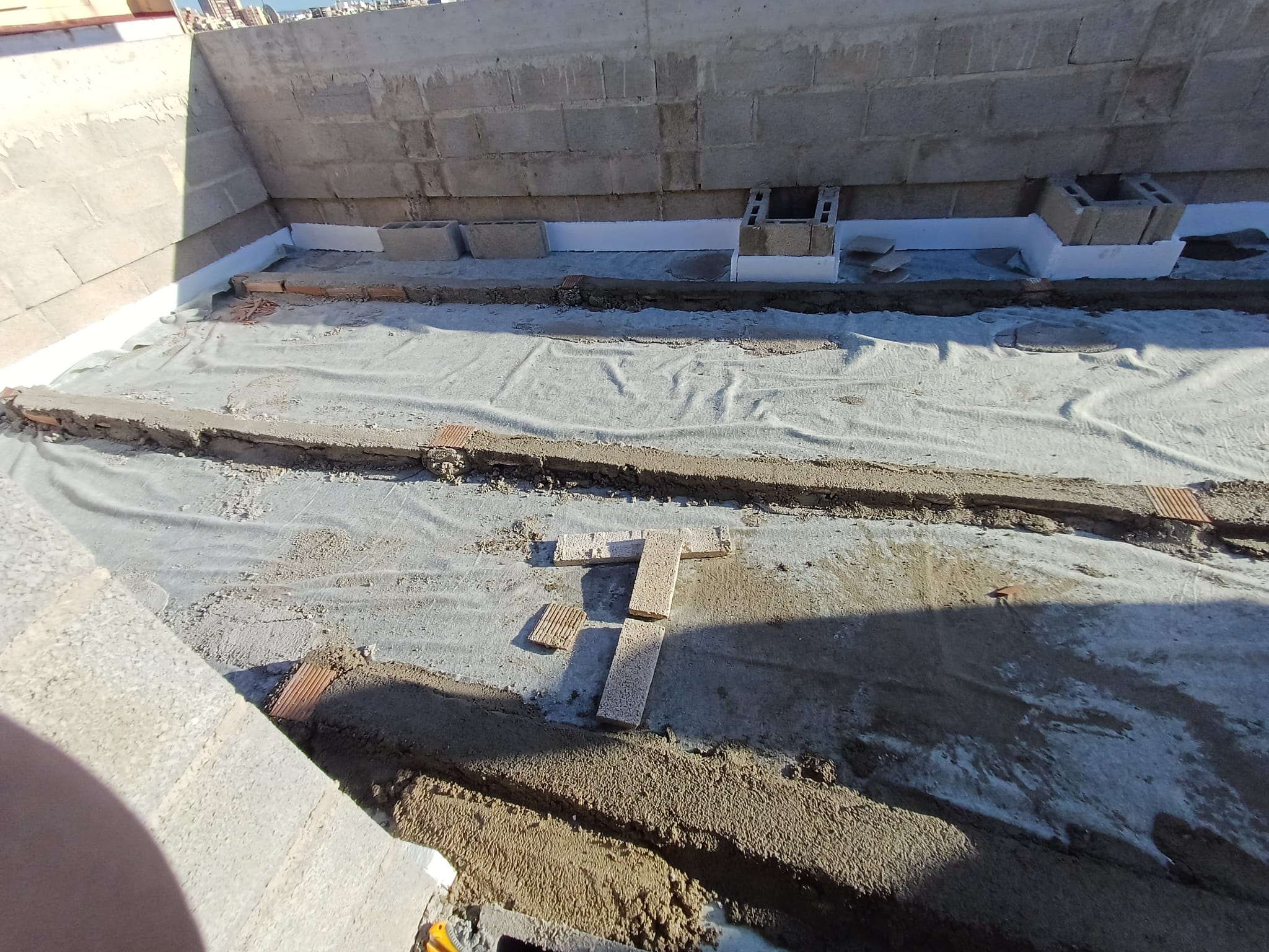 WhatsApp Image 2025-01-30 at 16.20.12