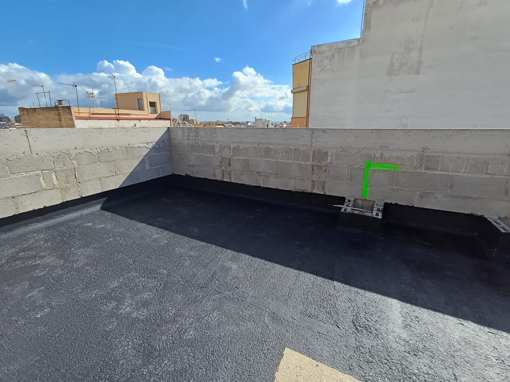 WhatsApp Image 2025-02-13 at 12.51.24