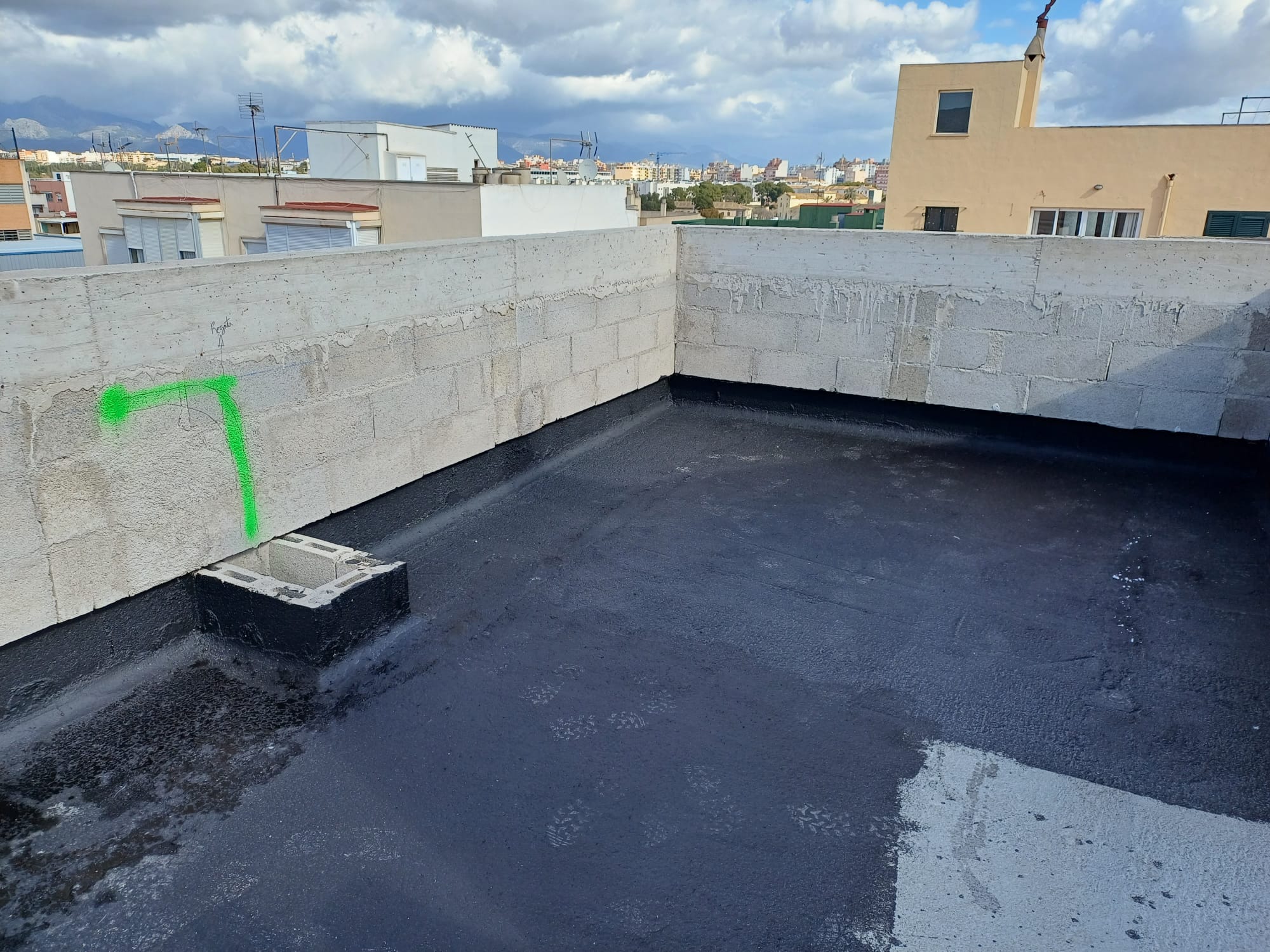 WhatsApp Image 2025-02-13 at 12.51.26