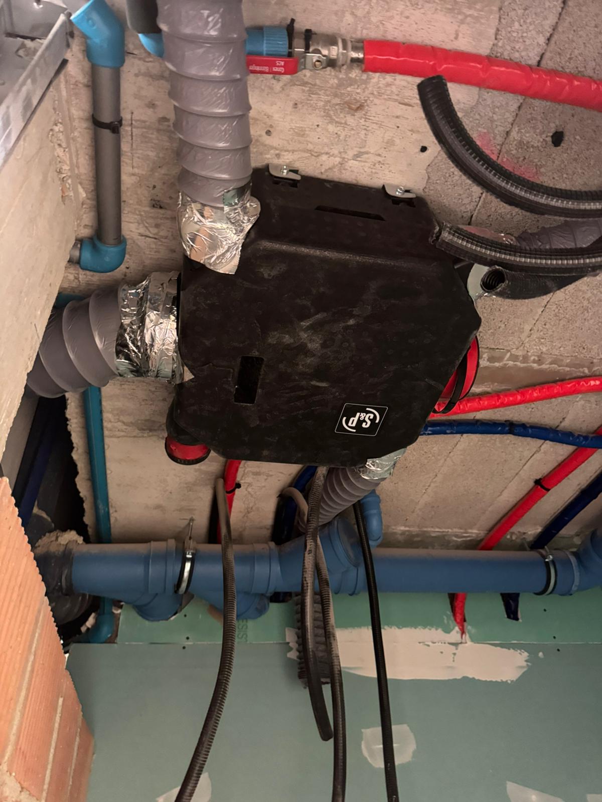 fco_marti_mora_2025_05_16