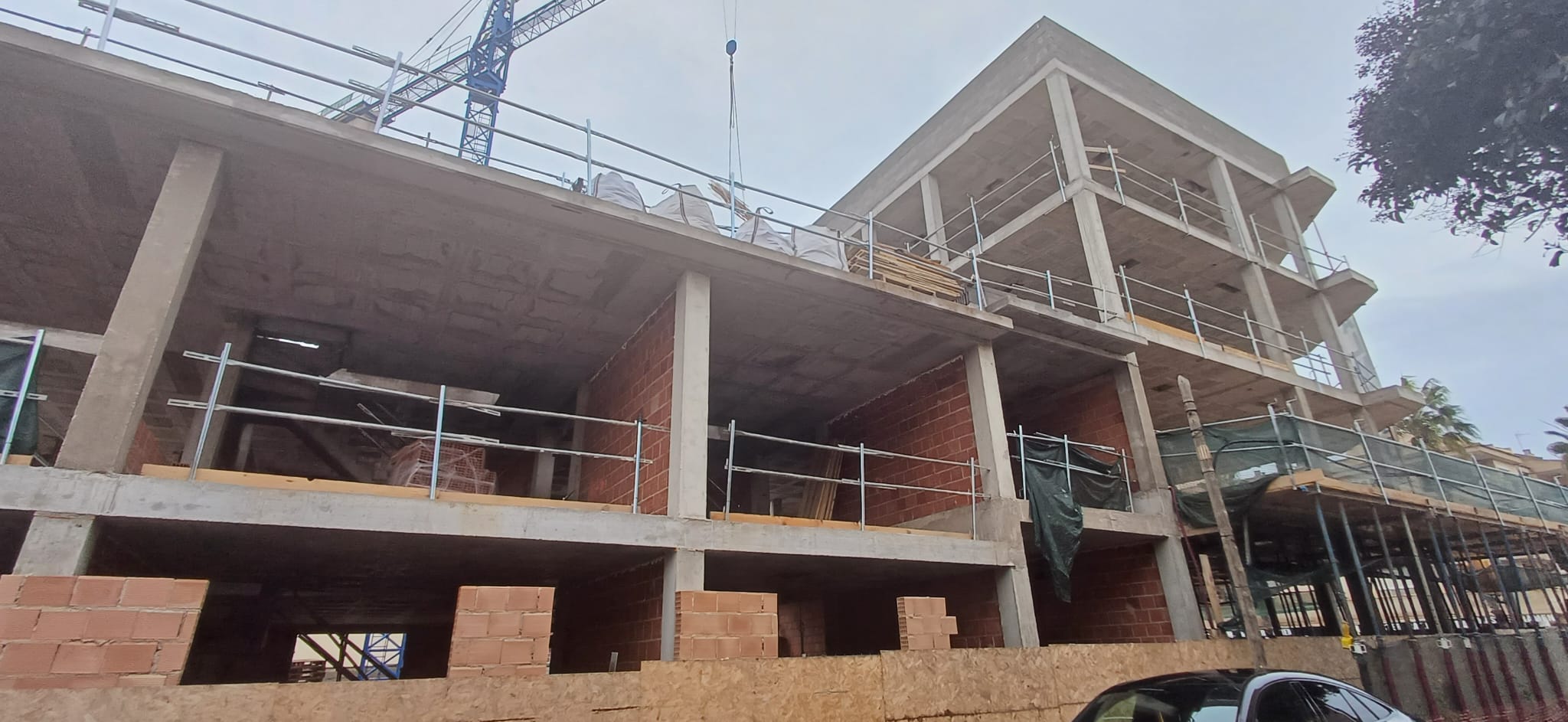 aragon288_2026_01_26