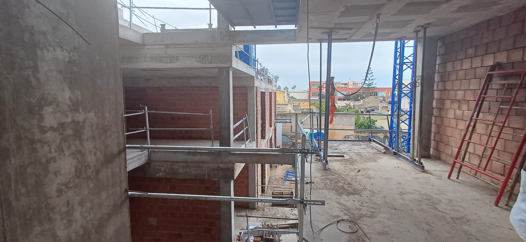 aragon288_2026_01_29