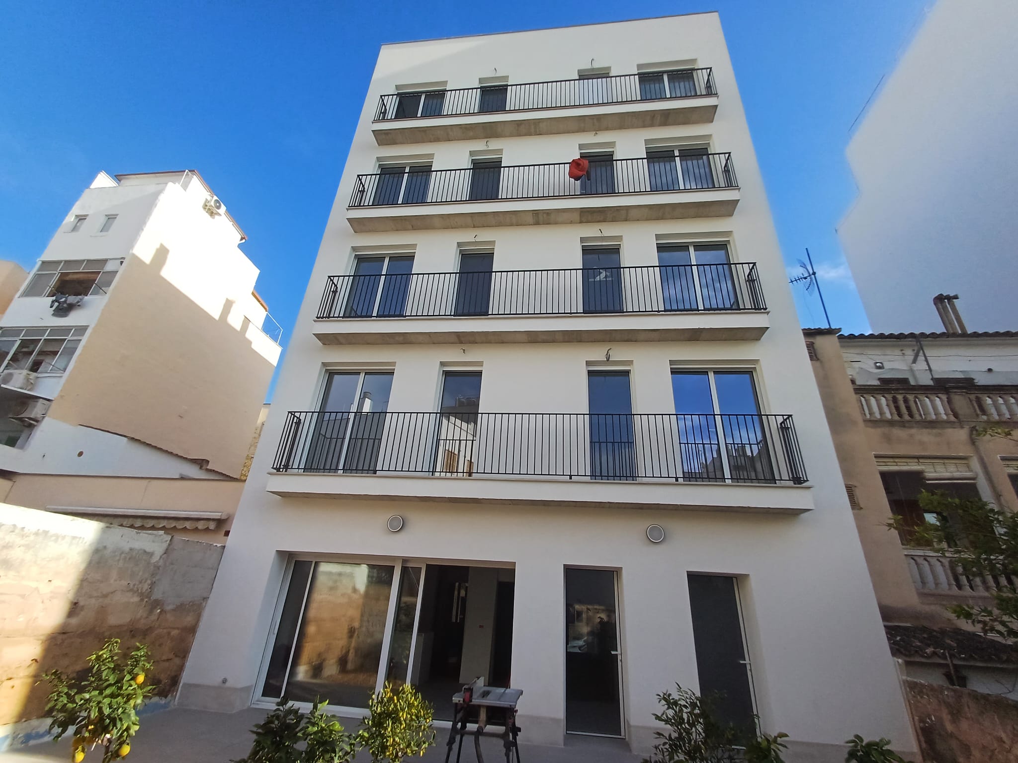 fco_marti_mora_2026_01_05