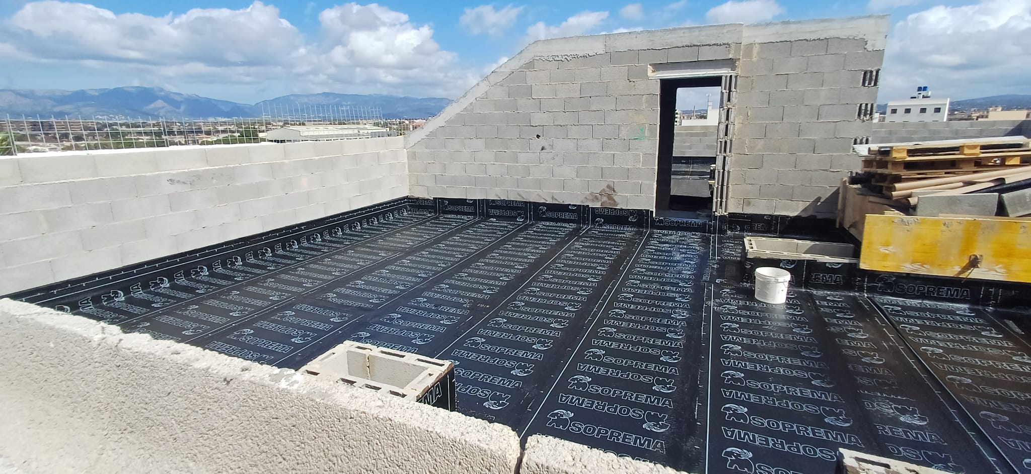 aragon288_2026_03_08